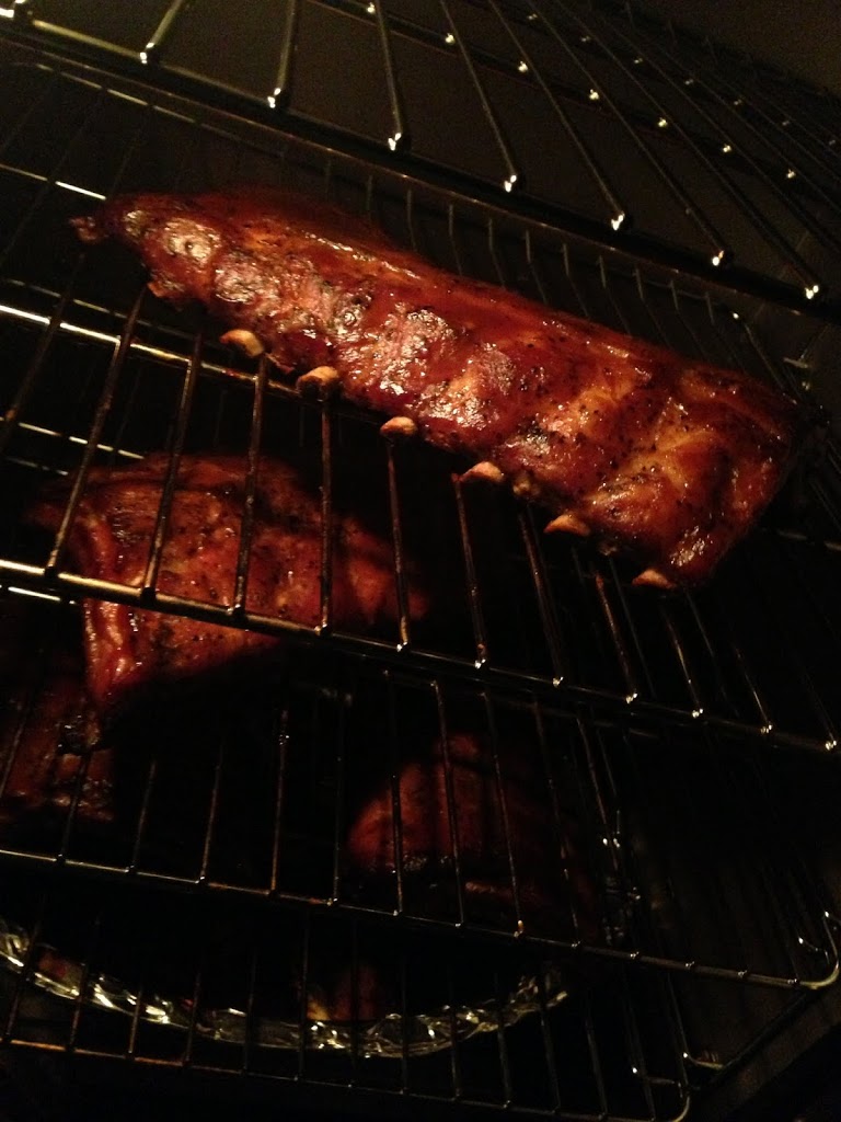 First Use of the Masterbuilt Electric Smoker