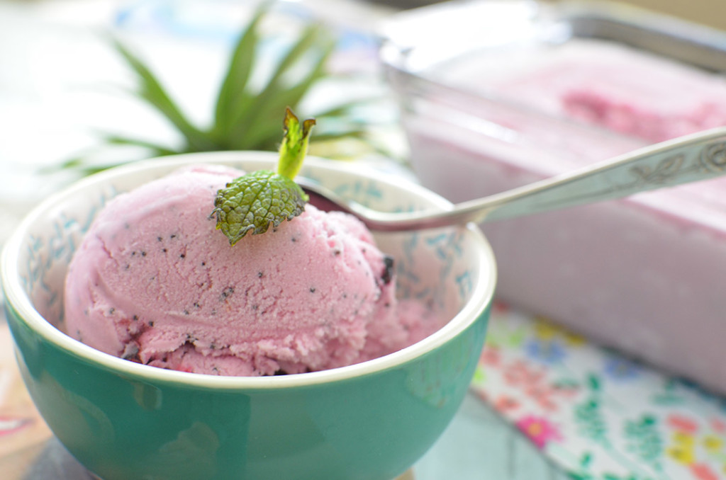 100 Days of Cookbooks: Blueberry Lemon Poppyseed Ice Cream